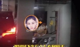 张颖颖被人爆料视频,真相与争议